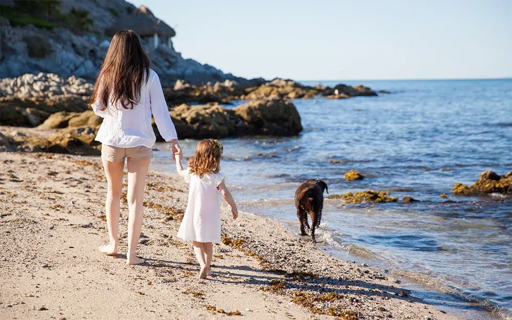 camping familial animal de compagnie chien loire atlantique